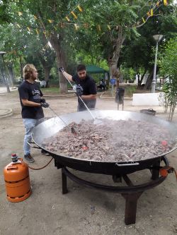 Imagen: Guisado de toro